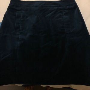 Ann Taylor Size 10P Suede Skirt